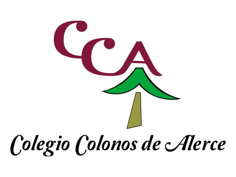 Colegio Colonos - WDesign - Diseño Web Profesional