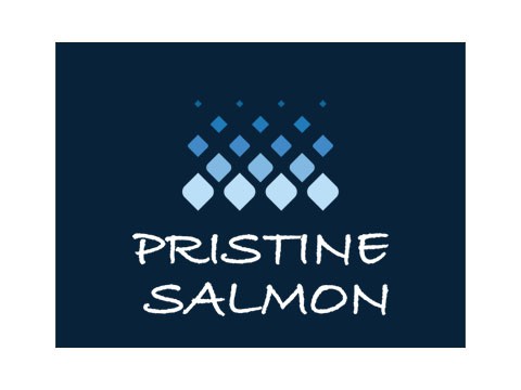 Pristine Salmon - WDesign - Diseño Web Profesional