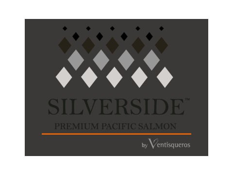 Silver Side - WDesign - Diseño Web Profesional
