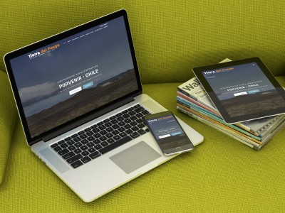 Piscicultura Tierra del Fuego S.A - WDesign - Diseño Web Profesional