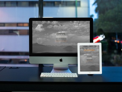 Silverside - WDesign - Diseño Web Profesional